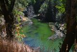marin_lake_phoenix_082024_rt_3073.jpg