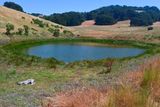richmond_brinones_072025_rt_4107.jpg