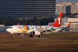 T WAY BOEING 737 800 ICN RF 002A4185.jpg