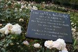 The Queen Mothers Rose Garden at RHS Rosemoor