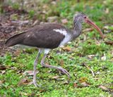 DSC_2926b.jpg