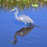 DSC_3281b.jpg