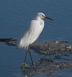 DSC_3878b.jpg
