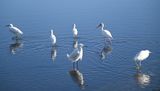 DSC_3880b.jpg
