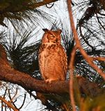 DSC_4045b.jpg