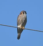 DSC_4081b.jpg