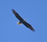 DSC_4111b.jpg