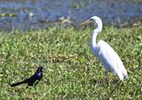DSC_4120b.jpg