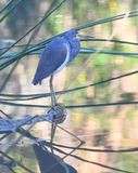 DSC_4465b.jpg