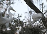 DSC_4489b.jpg