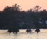 DSC_4557b.jpg