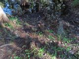 IMG_3004.jpg