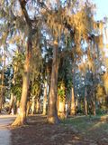 IMG_3043.jpg