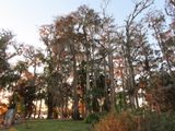 IMG_3056.jpg