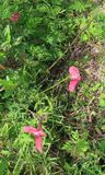 IMG_3124b.jpg