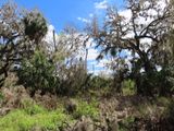 IMG_3130b.jpg