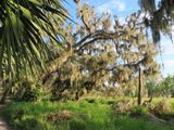 IMG_3172b.jpg