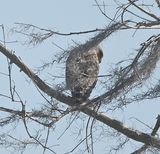 DSC_4580b.jpg