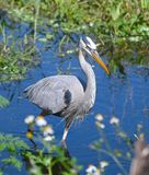 DSC_4659b.jpg