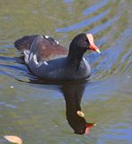 DSC_4683b.jpg