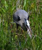 DSC_4773b.jpg