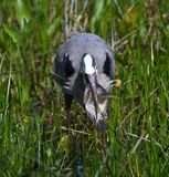 DSC_4774b.jpg