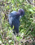 DSC_4815b.jpg