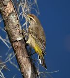 DSC_4846b.jpg
