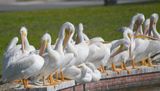DSC_4897b.jpg