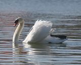 DSC_5041b.jpg