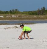 IMG_3203b.jpg