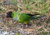 DSC_5335b.jpg