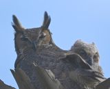 DSC_5389b.jpg