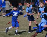 DSC_5515b.jpg