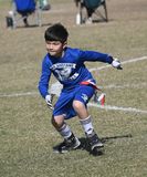 DSC_5517b.jpg
