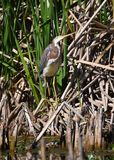 DSC_5632b.jpg