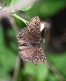DSC_5690b.jpg