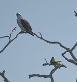 DSC_5709b.jpg