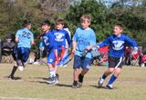 IMG_3221b.jpg