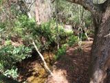 IMG_3229b.jpg