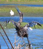 IMG_3250b.jpg