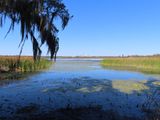 IMG_3255b.jpg