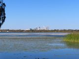 IMG_3256b.jpg