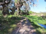 IMG_3257b.jpg