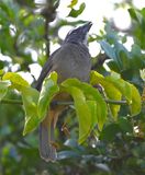 DSC_6881b.jpg