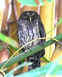 DSC_6913b.jpg