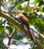 DSC_7003b.jpg