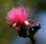 DSC_7100b.jpg