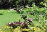 IMG_3405b.jpg