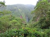 IMG_3735b.jpg